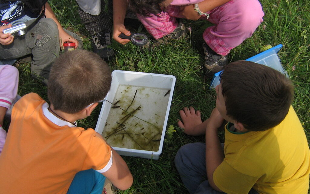 river-ecology-brenta
