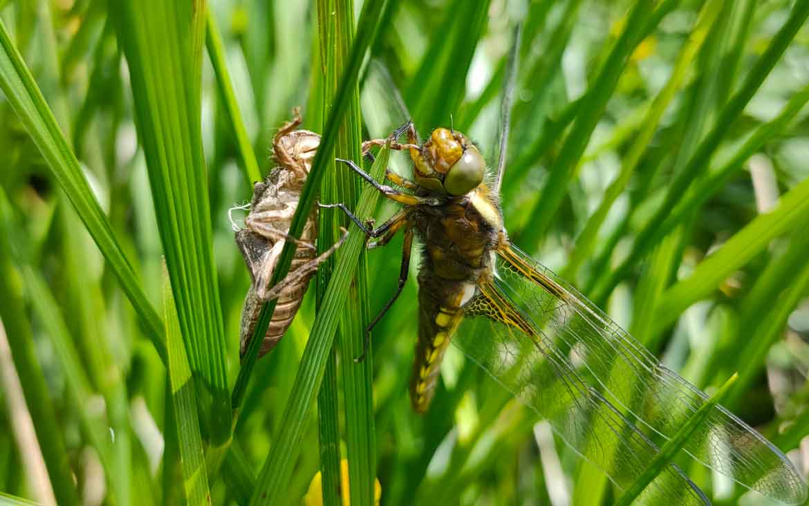 ecosistema-altopiano-escursione-copertina